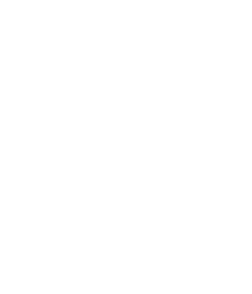 st garage logo white